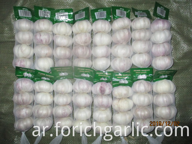 Where Can I Buy Fresh Garlic